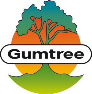 Gumtree South Africa Study Fund 2021/2022 Online Application form Pdf