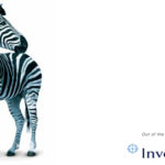 Investec Bursary