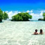 Top 10 Universities In Samoa