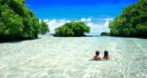 Top 10 Universities In Samoa
