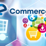 Commerce Bursaries