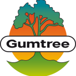 Gumtree South Africa Study Fund