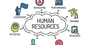 Human Resources Bursaries