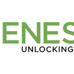 Genesis Analytics Bursary