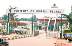 Courses Offered In UNN