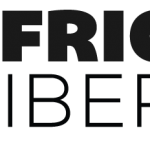 African Liberty Writing Fellowship Program 2021