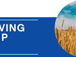 DSM Improved Foods Scholarship