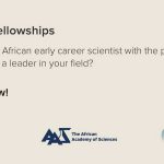 FLAIR Fellowships