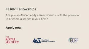 FLAIR Fellowships
