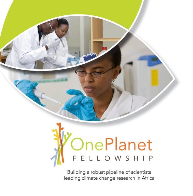 One Fellowship for Emerging African Researchers 2024