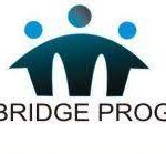 The Bridge Fellowship Program