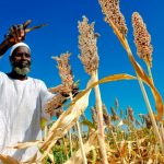 Green Agribusiness Fund GAF for Agribusiness Initiatives/Companies