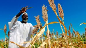 Green Agribusiness Fund GAF for Agribusiness Initiatives/Companies