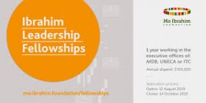 Mo Ibrahim Foundation Leadership Fellowship