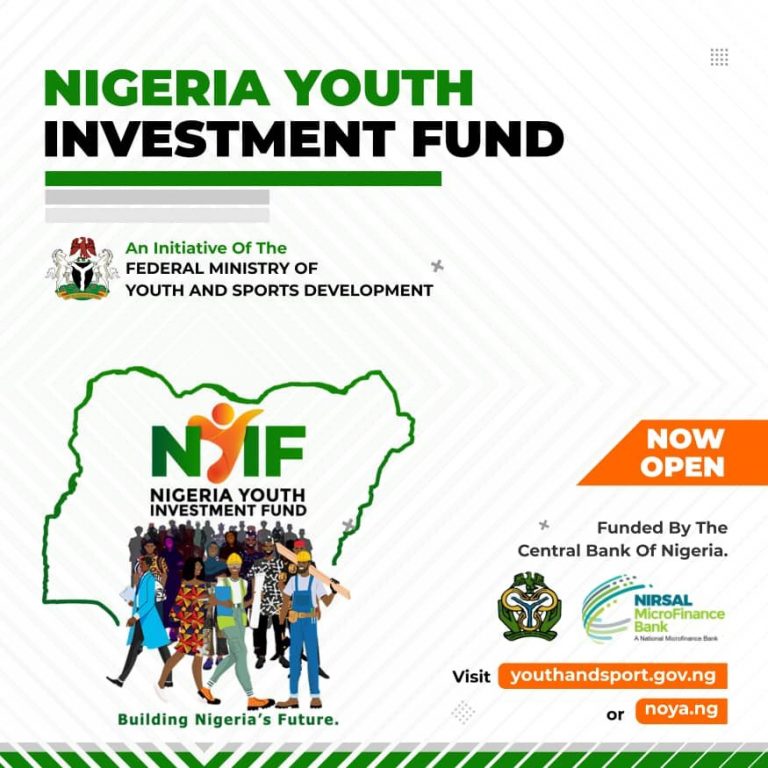 Nigeria Youth Investment Fund Nyif 20242025 N75 Billion In Funding 2870