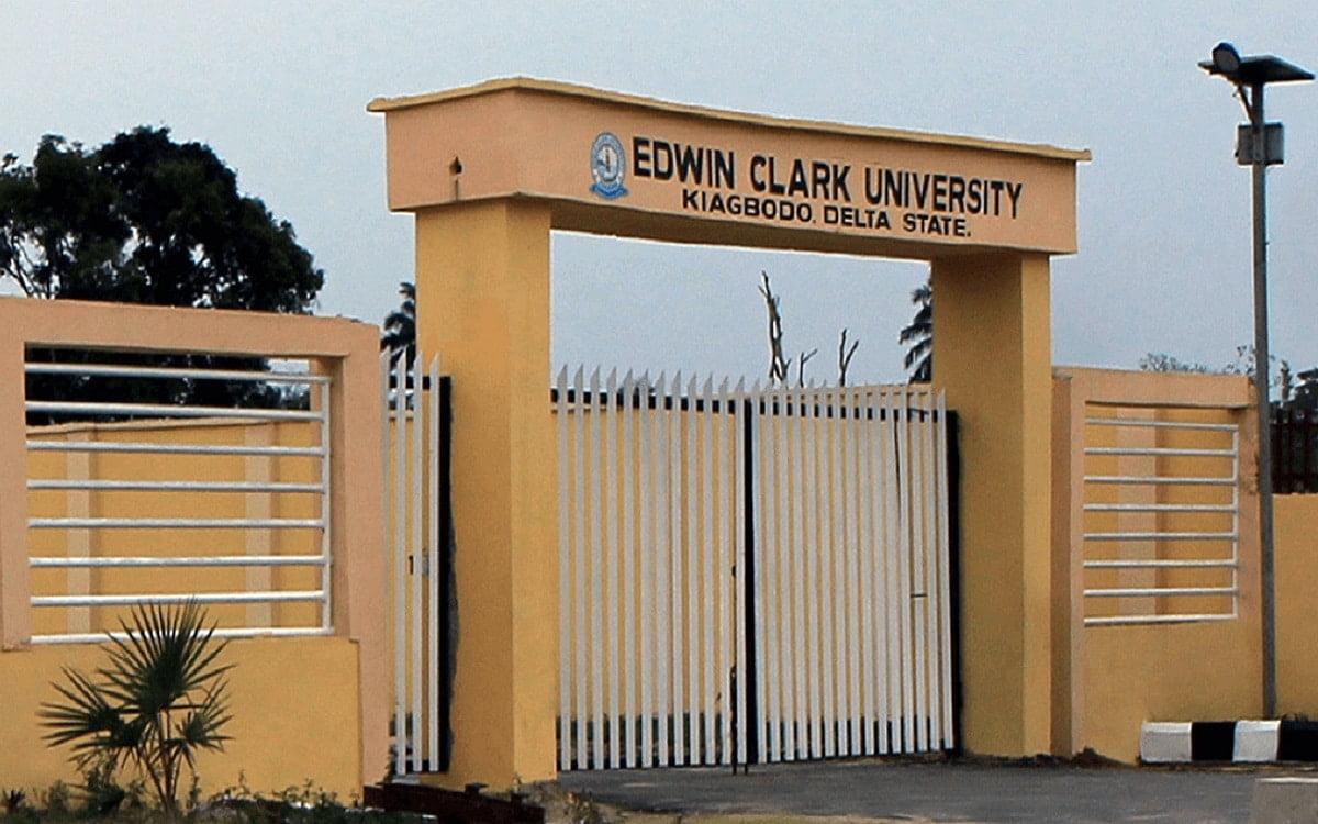 Edwin Clark University Pre-Degree Form