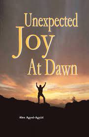 Unexpected Joy at Dawn by Alex Agyei Agyiri Summary